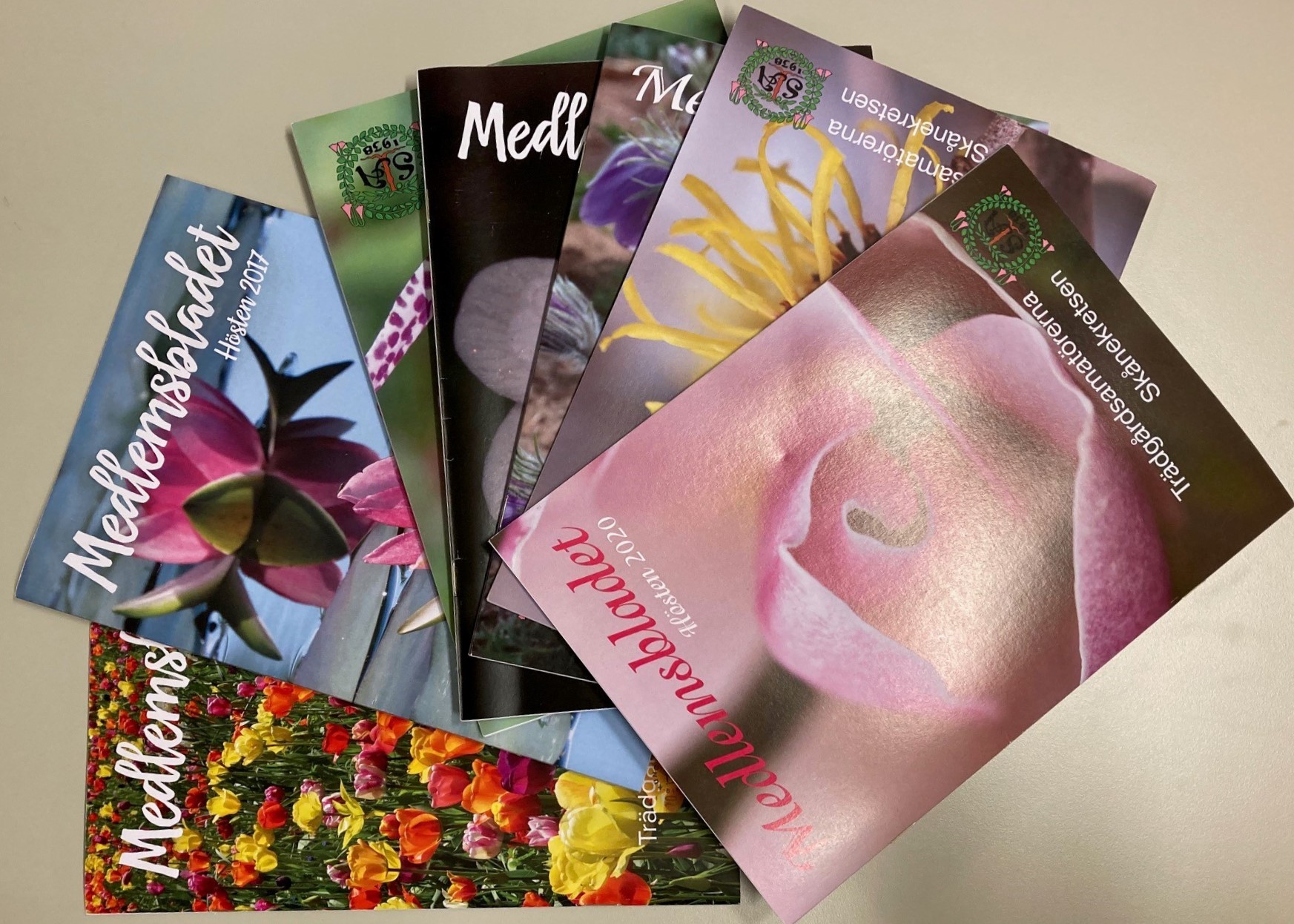 Färgfotografi av sju tidskriftsnummer med blommor på omslagen som ligger utspridda i en solfjäderform
