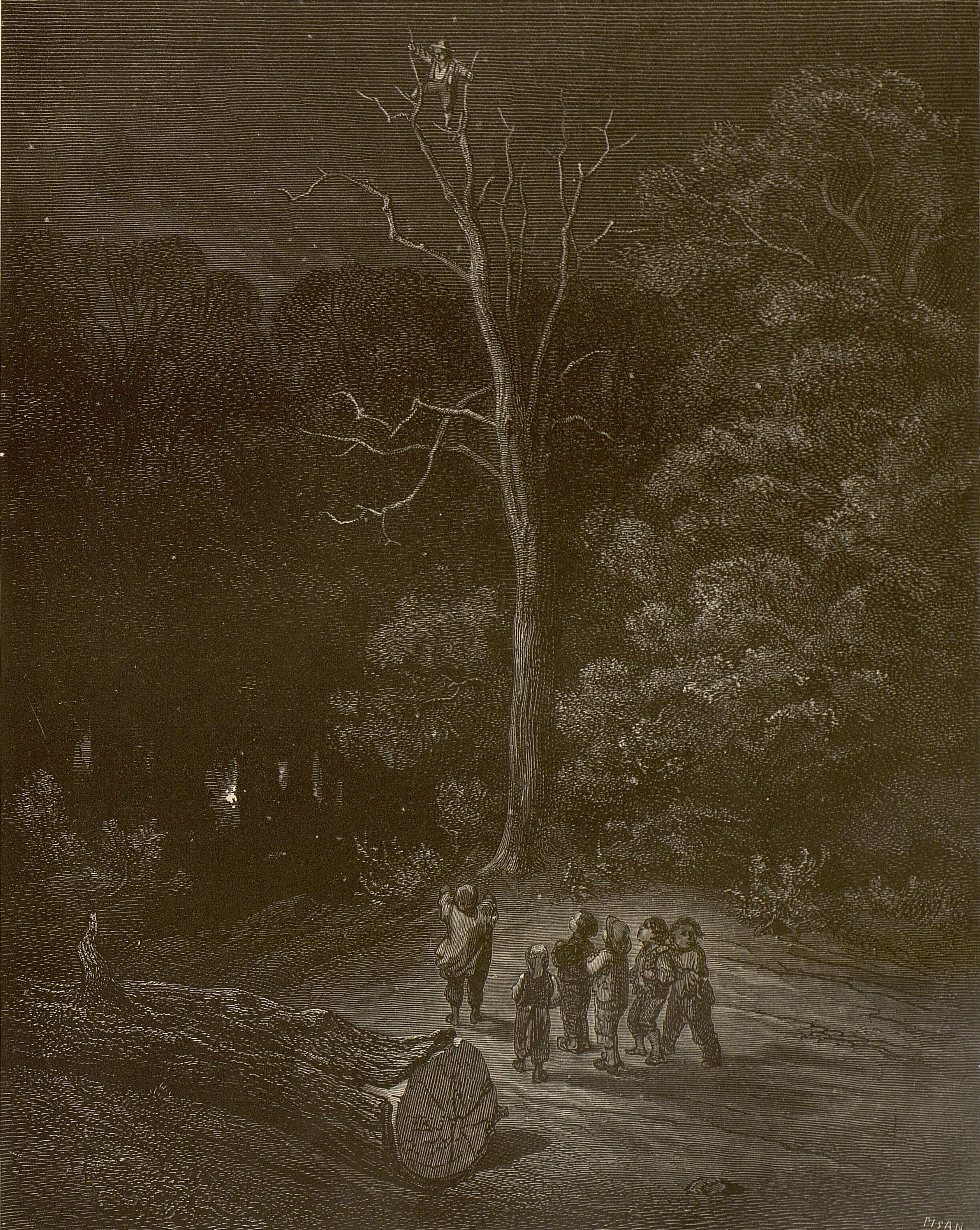 Mörk skog där sex barn står under ett dött träd där en sjunde klättrat upp för att spana på omgivningarna.