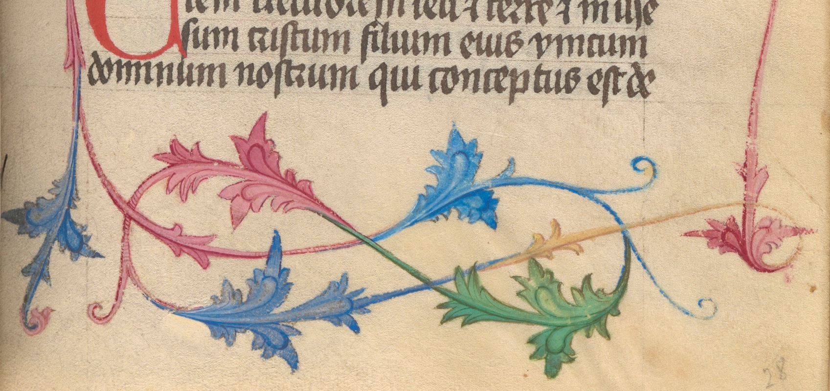 Ornament i blått, rosa och grönt i en medeltida handskrift.