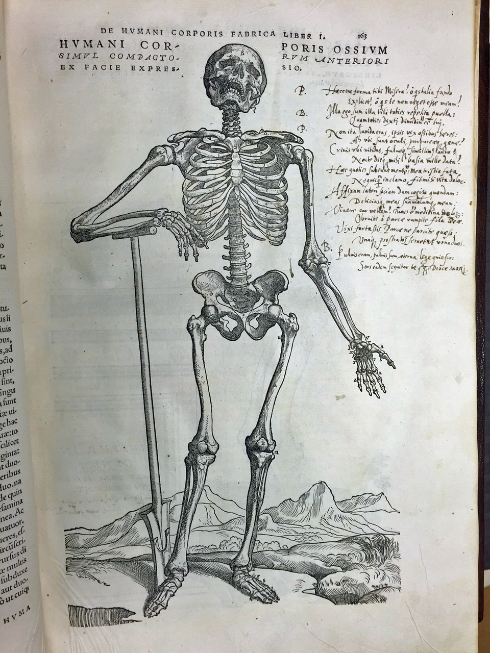 Vesalius, Annotations, 1543. Foto:KB