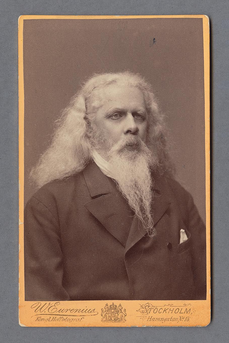 Bystporträtt av Gustaf Edvard Klemming med långt vitt hår, skägg och mustasch.
