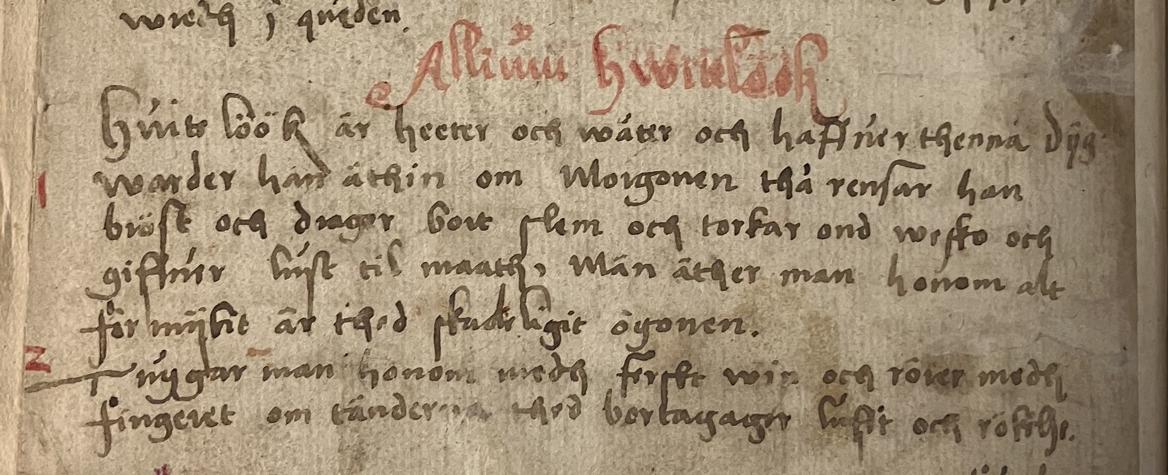 Färgfoto med några rader handskriven text i svart och rött bläck på gulnat papper.