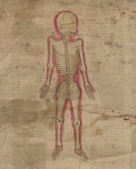 Äldre handskrift med illustration av skelett sett bakifrån.