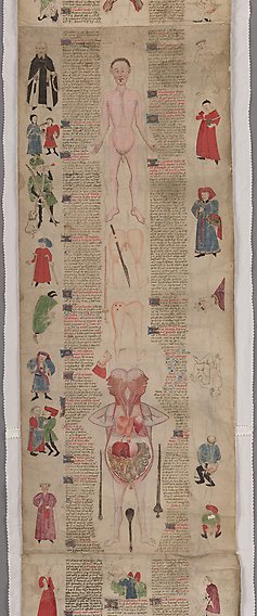 Avlång äldre handskrift med text i två kolumner omgärdade av flertalet illustrationer föreställande människor och människoskelettet.