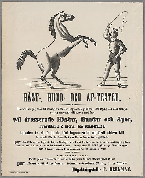 Illustration av stegrande vit häst och man som håller i en piska. 