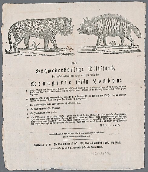 Affisch med illustration av en leopard och en tigerliknande varg.