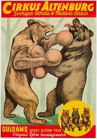 Affisch med illustration av två björnar som slåss med boxhandskar och en liten bild med tre björnar med clownkragar.