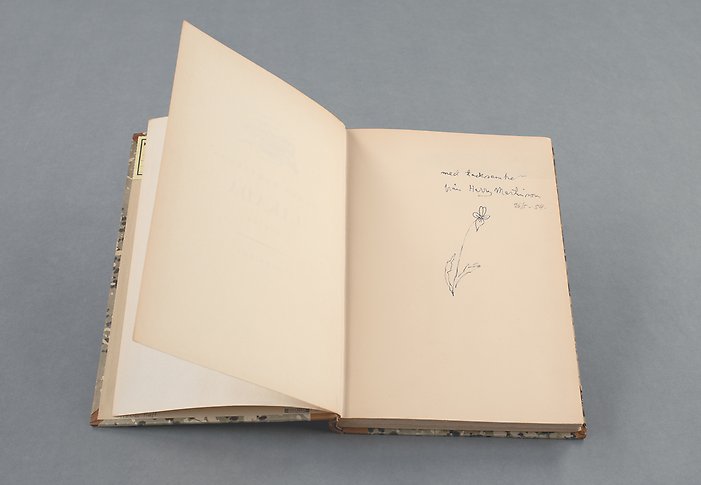 Uppslagen äldre bok med gulnade sidor. I uppslaget syns handskrift och en tecknad blomma.