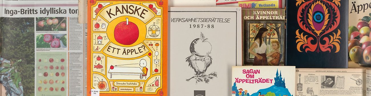 Böcker, broschyrer och tidningar upplagda bredvid varandra.